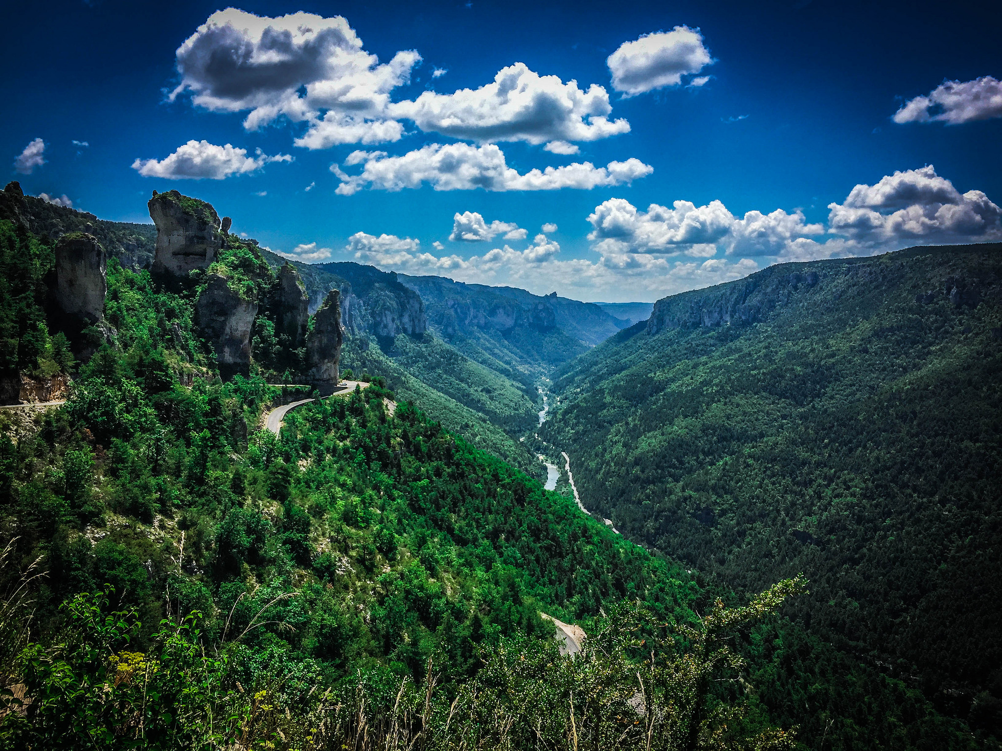 Blick in die Tarn-Schlucht (Gorges du Tarn)